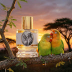 Lovebird